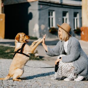 Que debemos tener en cuenta antes de tener una mascota
