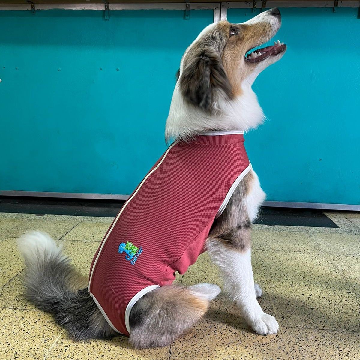 BODY PETS XXL (23 A 25 KG)